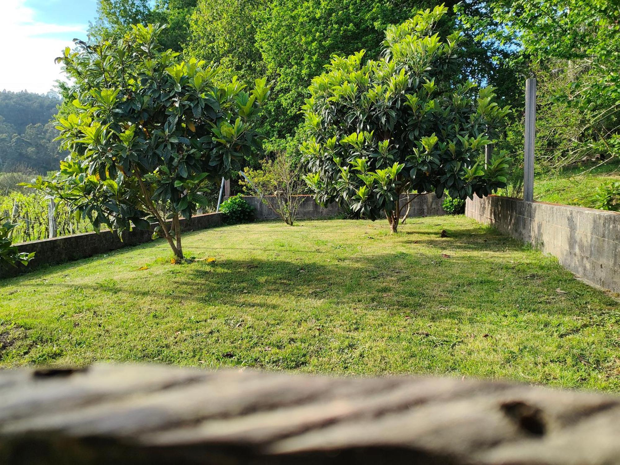 Villa Casa Turistica A Ardina à Caldas De Reis Extérieur photo
